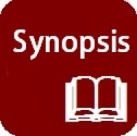 MBA Synopsis international IT